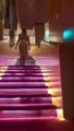 Foto escort Luz Rossi en Buenos Aires - 